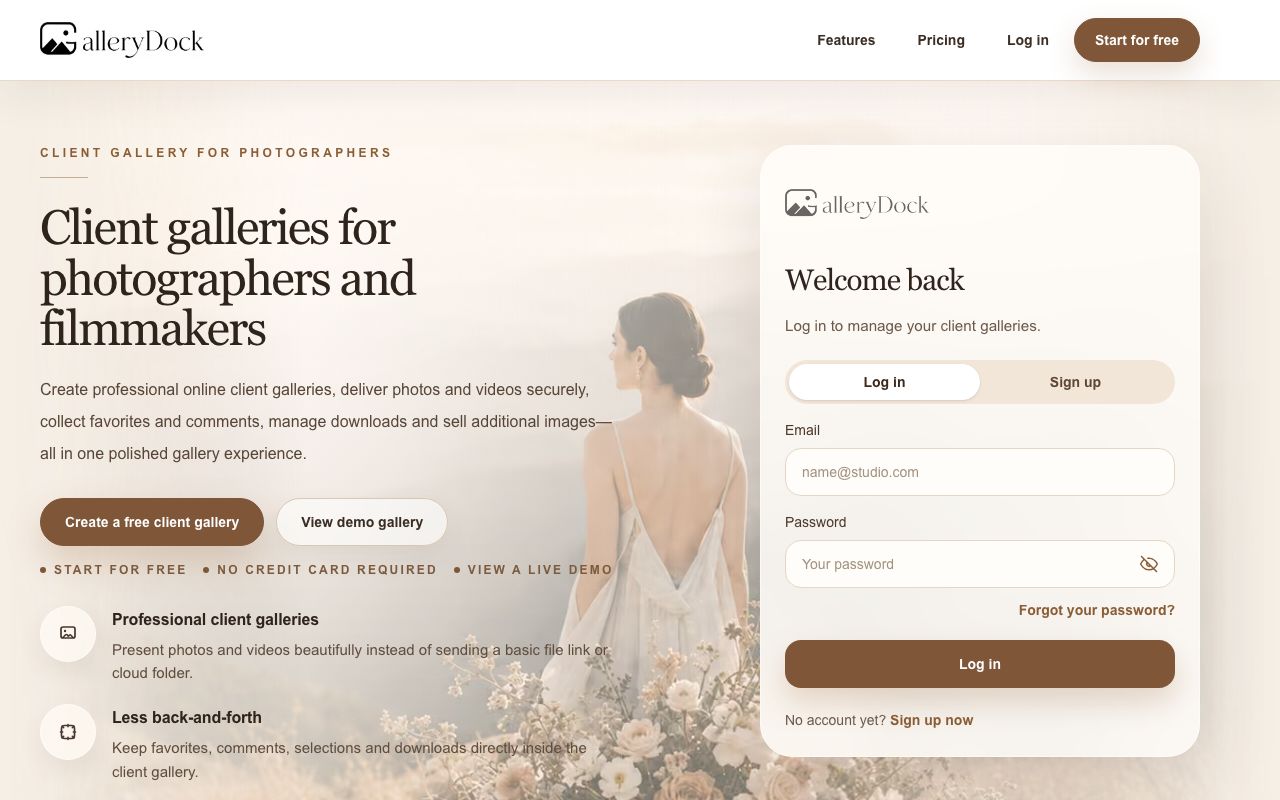 The GalleryDock website