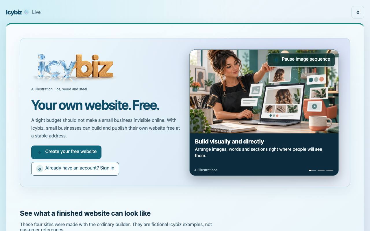 The Icybiz website