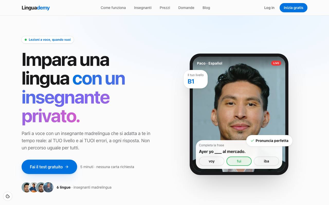 The Linguademy website