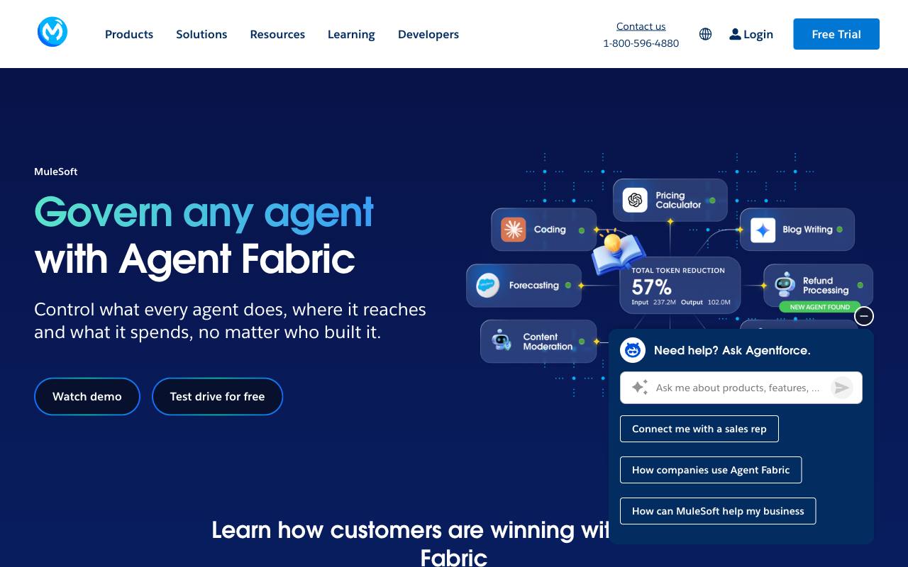 The MuleSoft Anypoint website