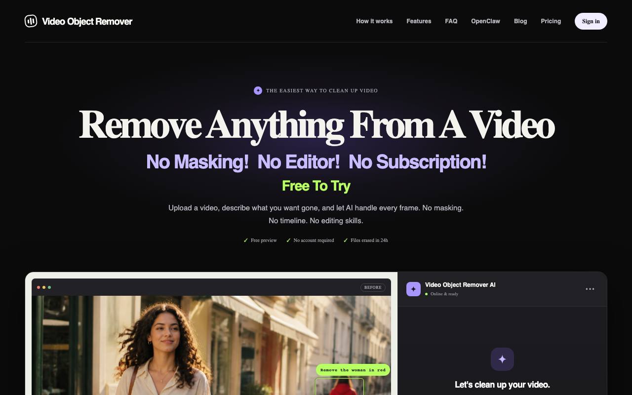 The Video Object Remover website